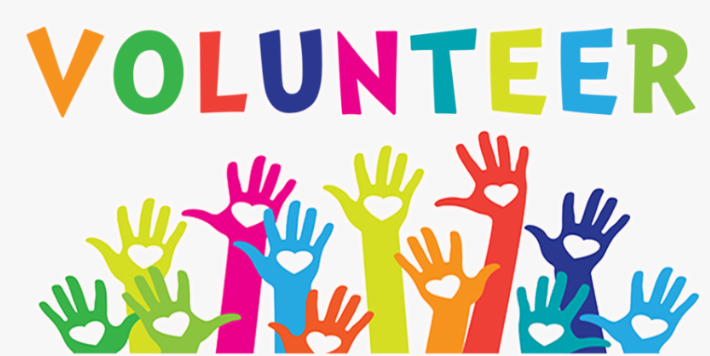  volunteer