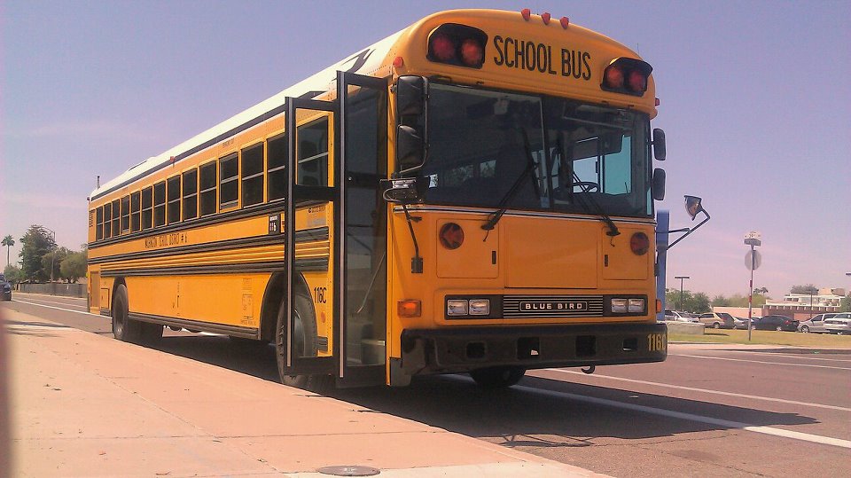 Bus 