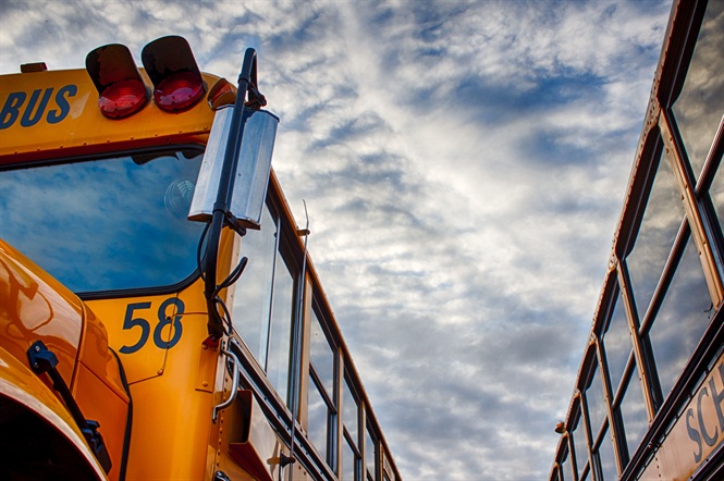 bus 