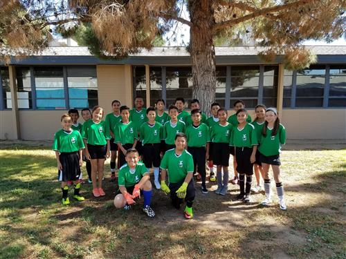 boys and girls in green soccer jerseys