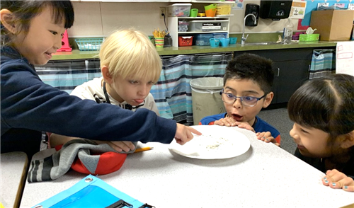 students do a science experiment