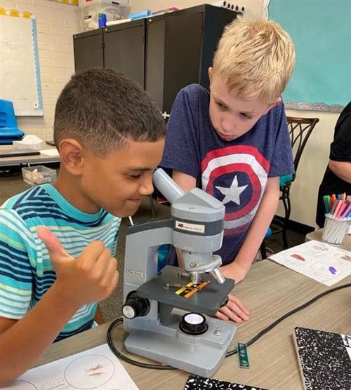 students look through a microscope
