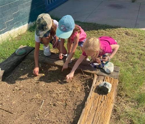 students work in the garden