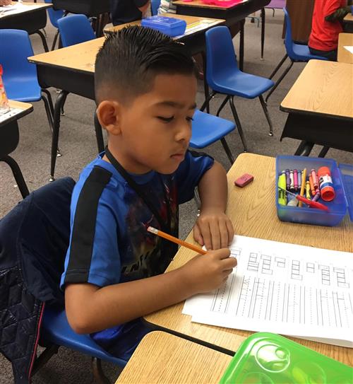 a student  completes a worksheet