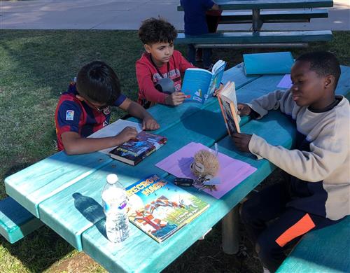 students read outside