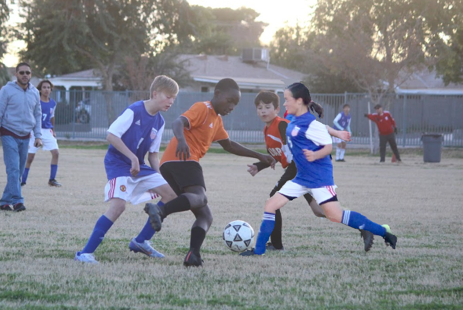 Orangewood versus Abraham Lincoln Orangewood versus Abraham Lincoln
